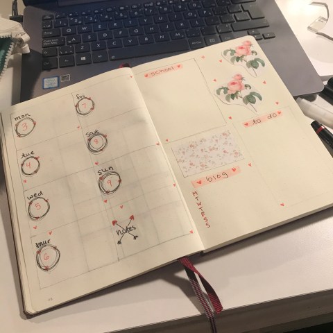 Photo 2020-02-03, 6 43 12 PM