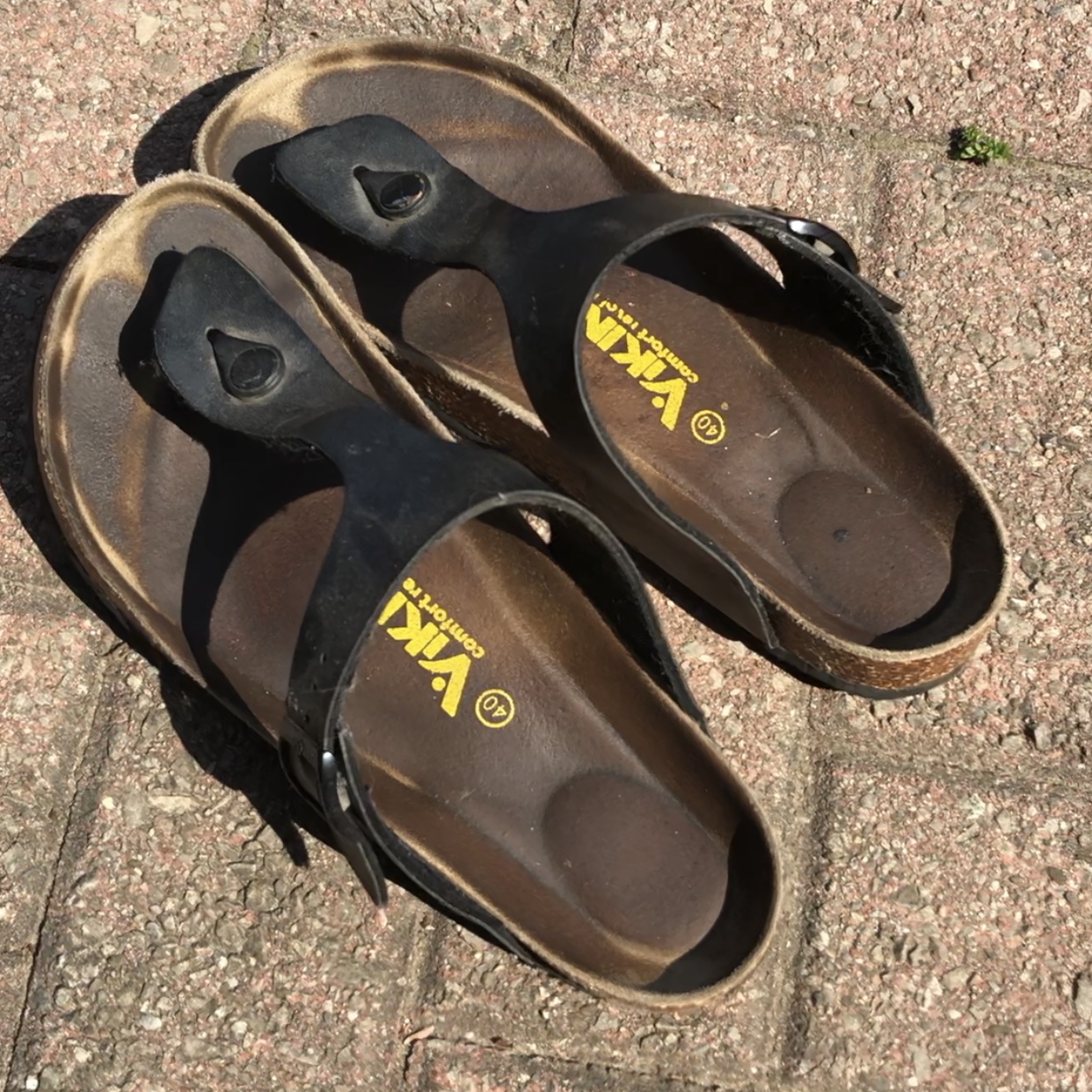 Photo 2020-05-25, 4 07 09 PM